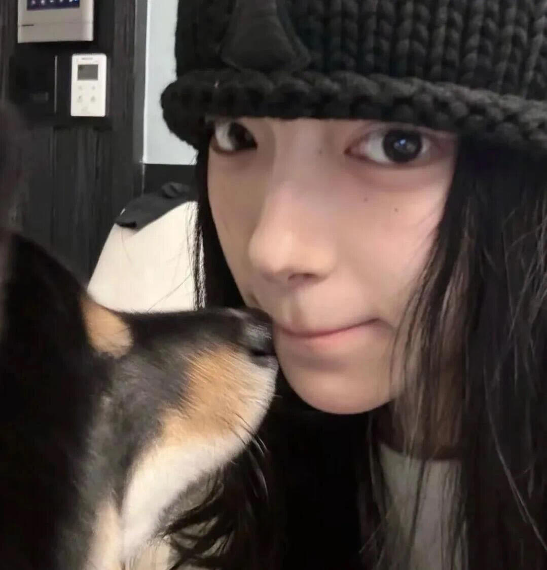 Muzze || Art & History Museum